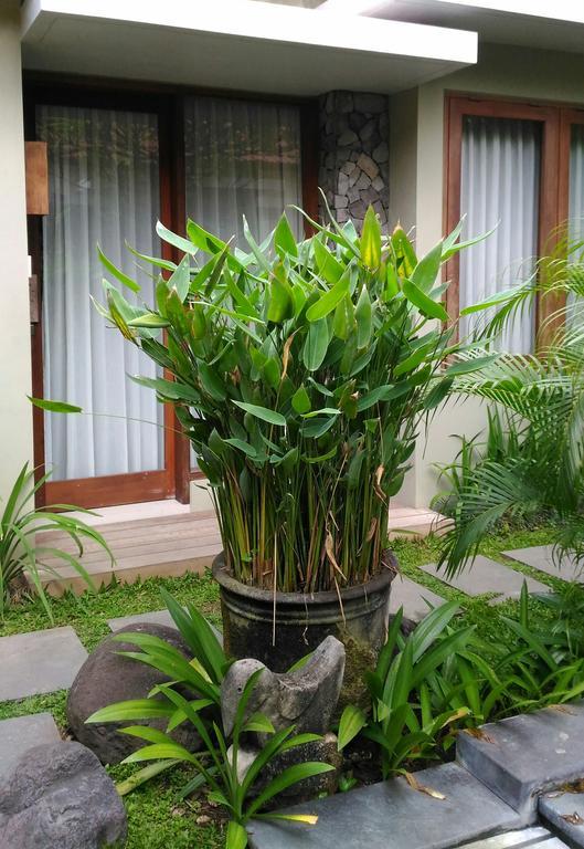 Hotel Uma Karan Kuta Lombok Esterno foto